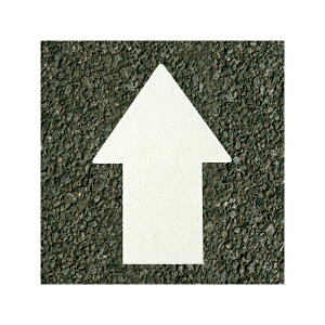 AgnEXyCg tATC 18cm×25.5cm 00001-03611