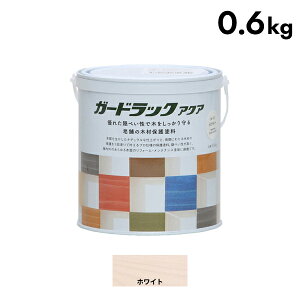 aMyCg K[hbN ANA 0.6kg