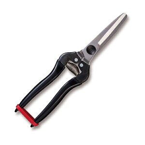 �A���X ARS �A���X KG-300LW-DX-BP �H��p�r���X�e�����X