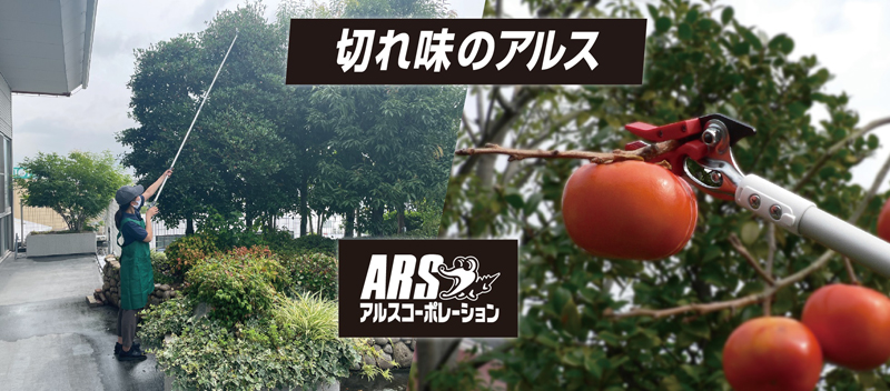 楽天市場】アルス ARS 160PCC-1.2D カーボンチョキ 採収型
