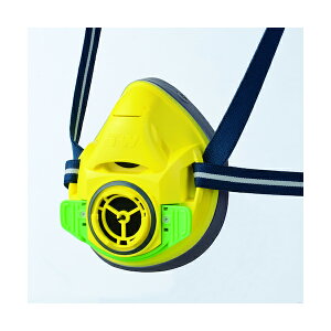 d VQ}c hoEhŃ}XN CG[ TW01C-YE (M) #32714