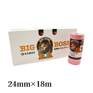 J KAMOI ԗhp}XLOe[v BIG BOSS 24mm×18m 50 #187548