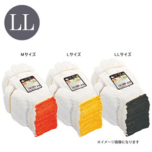 ~WR _[X LLTCY ӂ G-42