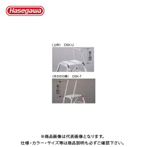 �y�����ʓr�z�y�����i�z�n�Z�K�� ���J��H�� DSK�p�I�v�V���� ��g DSK-U 10088