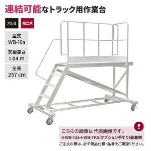 �y�����ʓr�z�y�����i�z�n�Z�K�� ���J��H�� �A������^��Ƒ� WB-10a