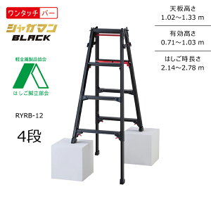 yʓrzyiznZK JH 㕔쎮Lkrpr (Black) RYRB VK}ubN 4i ubN RYRB-12