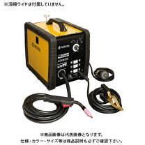 楽天市場】RYOBI（溶接・熱工具本体｜DIY・工具）：花・ガーデン・DIY  
