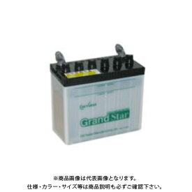 楽天市場 バッテリー液補充の通販
