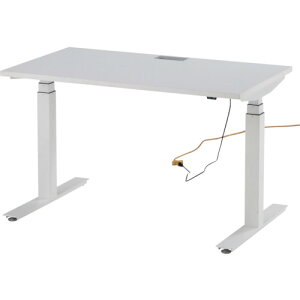 【送料別途】【直送品】TOKIO 電動昇降式ワークデスク 間口1200×奥行700×高さ650~1250mm ホワイト FWD-W127-W