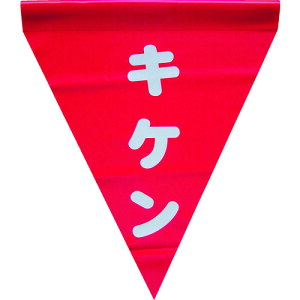 ^JCN S\(ELP) AF-1125