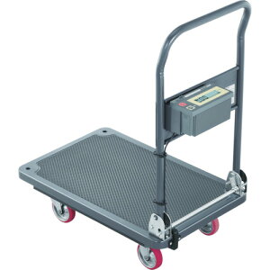 yʓrzyizA&D J[gXP[ 100KG SD100