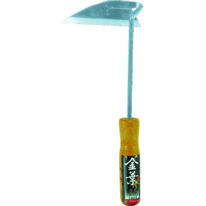 DAISHIN t |t񒷂˂芙 206164