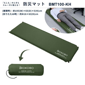 y󒍌3TԁzŖcޖhЃ}bg LOW KING JIM BMT100-KH