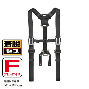 ^W}c[ Tajima ZtTXy_[A t[TCY ubN SFSAF-BK