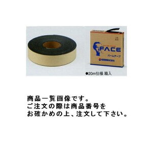 ^XR TASCO TA976HG-50 o[e[v ()