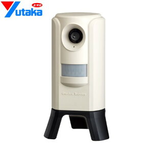 [GDX-3] K[foAIII ^JCN hbpi ϓglRQy u^Cv JԂg[diobe[͎O\j yz