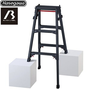 [RYZB-09a] Lk͂pr RYZB 3i JH ͂Er ubN[xV[Y őgpʁF100kg ^b`o[ A~ Vg[` ubN yzyʔz