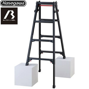 [RYZB-12a] Lk͂pr RYZB 4i JH ͂Er ubN[xV[Y őgpʁF100kg ^b`o[ A~ Vg[` ubN yzyʔz