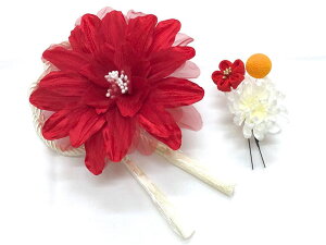 yԂz2Zbg U l@ԁ@51935