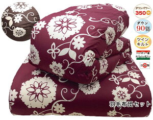 HѕzcZbg VO nK[zCg_E90 DP350 {