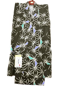 yWa de Modernzqr 150 j̎q  ̗t 250509-02