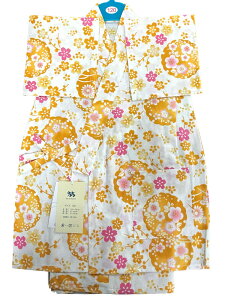 yWa de Modernzqr 120 ̎q  ւɍ@250503-04