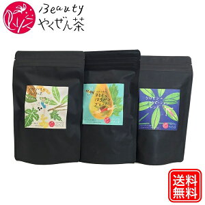 y Beauty ₭ z V p30P×3Zbg n[ueB[ eB[obO  eB[pbN n[ueB[Zbg I[KjbNn[ueB[ Zbg Mtg H  