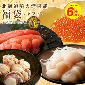 Z 【クーポンで6％OFF！】 海鮮 噴火湾 海鮮 堪能 福袋 セット グルメ ベビーホタテ いくら たらこ ほたて ホタテ 帆立 玉冷 大粒 珍味 真空パック 天然 国産 お取り寄せ 塩蔵 お歳暮 御歳暮 歳暮 ギフト お歳暮ギフト ランキング 2610z