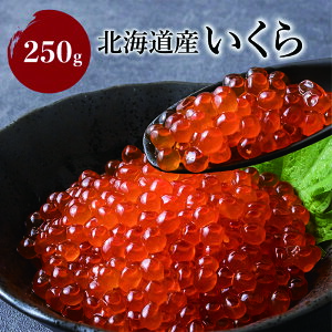 イ kCY 250g  ݖЂ Iz[cN  hV̓ Y Mtg   嗱  j T[  Hׂ CN  R ߂ Ε v[