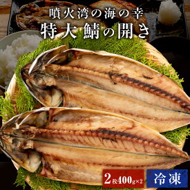 Z 北海道 噴火湾 鯖の開き 2枚 400g以上 特大 冷凍 北海道産 開き 冷凍さば 鯖開き さばの開き 真サバ 開き 干物 冷凍 国産 焼き魚 魚 冷凍 簡単調理 乾物 お取り寄せ グルメ お歳暮 御歳暮 歳暮 ギフト お歳暮ギフト ランキング お歳暮人気