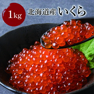 y݁zイ kCY 1kg 250g x4  Zbg ݖЂ Iz[cN  hV̓ Y Mtg   嗱  j T[  Hׂ CN  R 