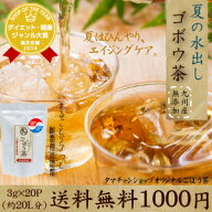 1000円ポッキリ 送料無料 ひやして美味しい冷・ゴボウ茶 (牛蒡茶 (1袋 3g×20包 約20L分相当) まるごと皮…