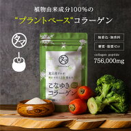 美粉屋 こなゆきコラーゲン（プラントベース）植物由来から生まれた新世代の植物100%コラーゲンが日本発…
