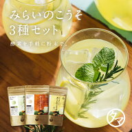 みらいのこうそ3種セット（レモン、マスカット、柚子）約100杯分（3カ月分の目安となります）送料無料｜…