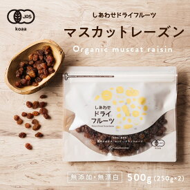 【送料無料】オーガニック・サンマスカットレーズン500g（250g×2袋）(オーストラリア産/無添加)上品な甘みと爽やかな酸味が特徴のワインなどにもおススメのレーズンです。|有機JAS認定 ドライフルーツ 無添加 砂糖不使用 ノンオイル raisins dryfruit