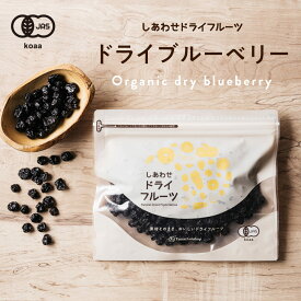 オーガニック・ドライブルーベリー(アメリカ産)爽やかな酸味と豊富なアントシアニンが特徴のブルーベリー。|ドライフルーツ 無添加 有機砂糖使用 有機ひまわり油使用 オーガニック 有機JAS認定 Natural dry blueberry dryfruit
