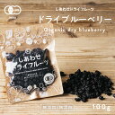 【お試し100g】オーガニック・ドライブルーベリー(100g/アメリカ産/無添加)爽やかな酸味と豊富なアントシアニンが特徴…
