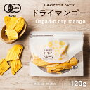 【送料無料】有機JAS認定ドライ マンゴー(120g/タイ産)とても希少なマハチャノック種オーガニックマンゴーを使用。酸味と甘みのバランスが良いドライマンゴー|ドライフルーツ 無添加 砂糖不使用 有機JAS認定 オーガニック　Natural dry mango dryfruit