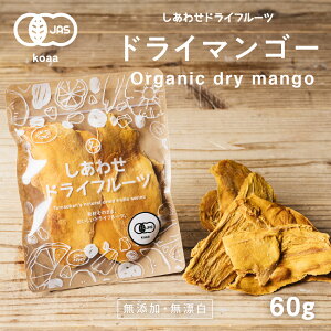 L@JASFhC }S[(60g/^CY)ƂĂ󏭂ȃ}n`mbNgpB_ƊẪ݂oXǂhC}S[|hCt[c Y sgpNatural dry mango dryfruit