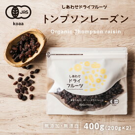 【送料無料】房干しトンプソンレーズン400g（200g×2袋）(カリフォルニア産/無添加)クセのない甘味、シャープな酸味|ドライフルーツ 無添加 砂糖不使用 ノンオイル オーガニック 有機JAS認定 スイーツ 食品 小分け お取り寄せグルメ raisins dryfruit