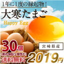 ご予約開始!【送料無料】大寒たまご30個(縁起卵)(宮崎県・鹿児島県産2019年)大寒の日前後に生まれた滋養に富んだ、風水でも金運UPと言われる縁起物のタマゴを...
