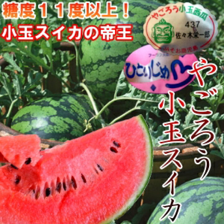 楽天市場】『高糖度やごろう小玉すいか』厳しい基準を見事合格した甘い 
