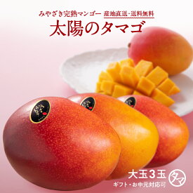 【送料無料】太陽のタマゴ(大玉2L・3玉)最高級フルーツ宮崎の厳しい基準を乗り越えた『香り・色艶・糖度』全てがプレミアムの宮崎完熟マンゴー【宮崎マンゴー】【太陽のタマゴ】【アップルマンゴー】【お中元・ギフト】 プレゼント 母の日