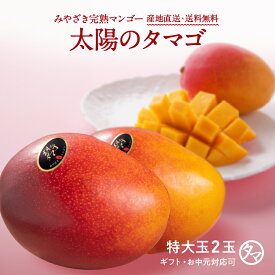 【送料無料】太陽のタマゴ(特大玉2玉)最高級フルーツ宮崎の厳しい基準を乗り越えた『香り・色艶・糖度』全てが最高のプレミアム宮崎完熟マンゴー【専用箱付・熨斗・包装無料】宮崎マンゴー 完熟マンゴー 果物 お中元 ギフト お取り寄せグルメ 母の日