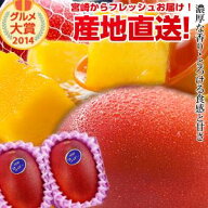 【送料無料】宮崎完熟マンゴー中玉2玉宮崎からお届けする南国の香り・とろける美味しさがいっぱいの完熟…