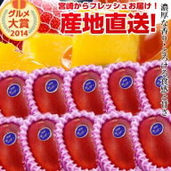 【送料無料】宮崎完熟マンゴー中玉10玉入り宮崎からお届けする南国の香り・とろける美味しさがいっぱいの…