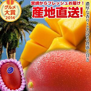 �y���������z�{�芮�n�}���S�[���1�ʋ{�肩�炨�͂�����썑�̍���E�Ƃ낯����������������ς��̊��n�}���S�[�n���{�肾���炱���ł���N�x�������ł��͂��v���܂��y�{��}���S�[�z