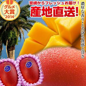 �y���������z�{�芮�n�}���S�[���2�ʋ{�肩�炨�͂�����썑�̍���E�Ƃ낯����������������ς��̊��n�}���S�[�n���{�肾���炱���ł���N�x�������ł��͂��v���܂��y�{��}���S�[�z