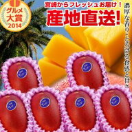 【送料無料】宮崎完熟マンゴー大玉6玉宮崎からお届けする南国の香り・とろける美味しさがいっぱいの完熟…