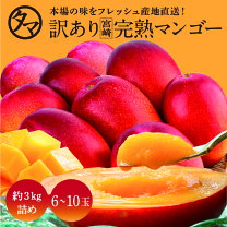 楽天市場】マンゴー 3kgの通販